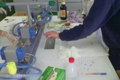 Laboratorio scienze