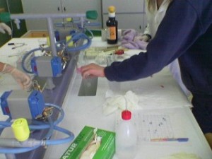 Laboratorio scienze